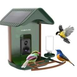 Mangeoire oiseaux détection d'espèce ia