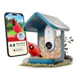 Mangeoire pour oiseaux connectée intelligence artificielle caméra HD Birdbuddy