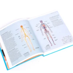 Massage le guide complet