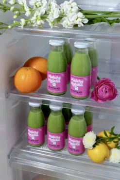Matcha latte, pack de 6 bouteilles de 250 ml, vegan, fabriqué en france
