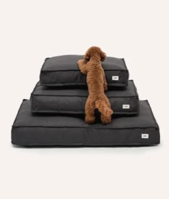 Matelas basic xl - noir