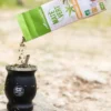 Mate vert sauvage gingembre verveine