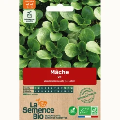 Mâche vit bio