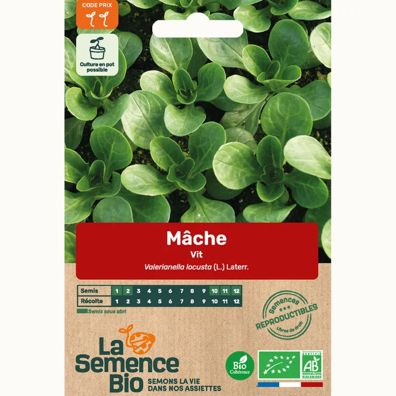 Mâche vit bio