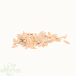Melon jaune canari hâtif 3 - graines bio