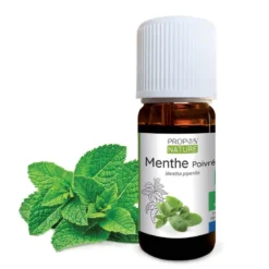 Menthe poivrée bio - huile essentielle