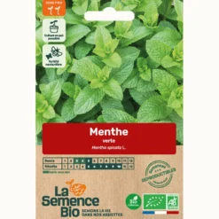 Menthe verte - graines bio