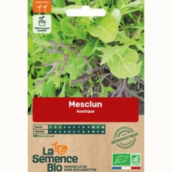 Mesclun asiatique - graines bio