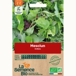 Mesclun crétois bio