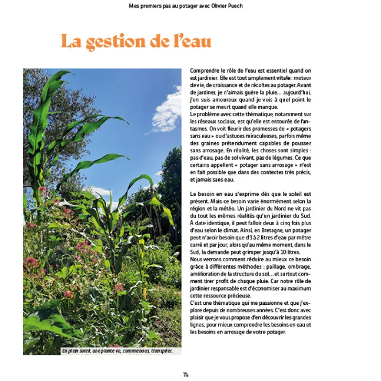 Mes premiers pas au potager d'Olivier Puech