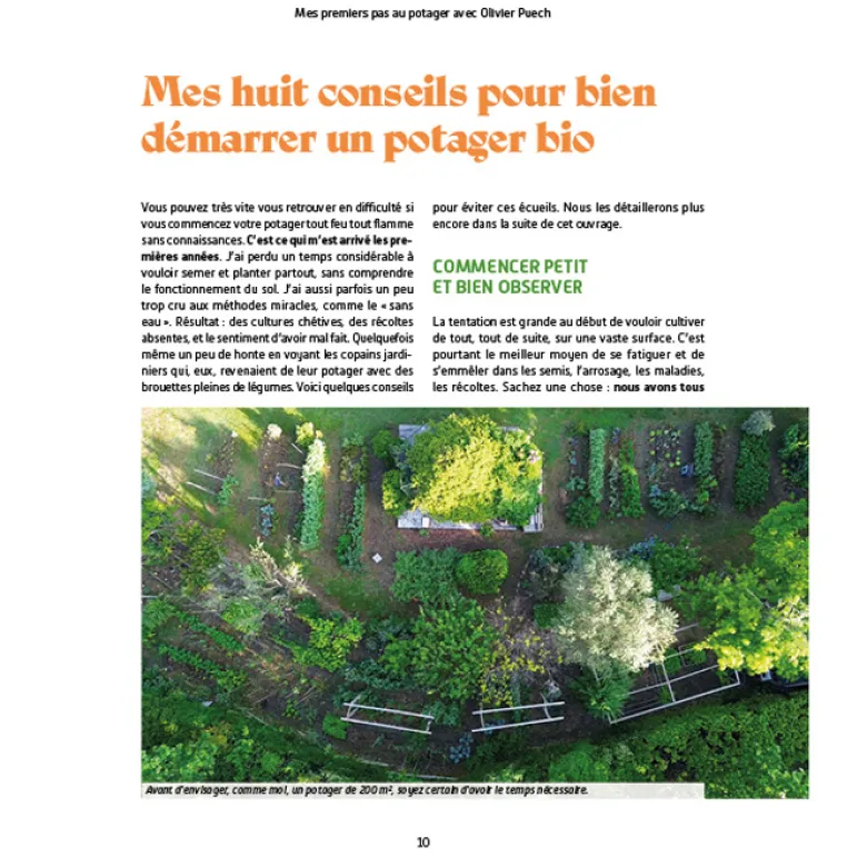 Mes premiers pas au potager d'Olivier Puech