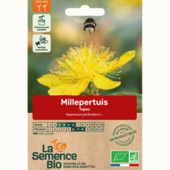 Millepertuis topas - graines bio