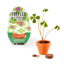 Mini kit de trèfles à 4 feuilles