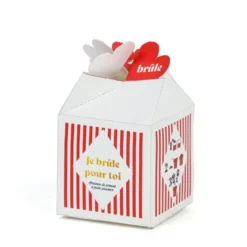 Mini pot de culture déclaration d'amour