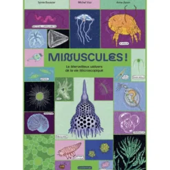 Minuscules