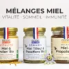 Mélange vitalité pollen & gingembre bio