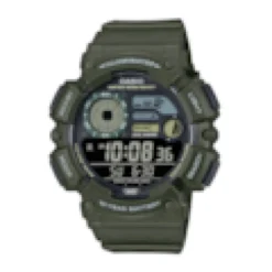 Montre casio ws-1500h-3bvef