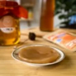 Mère de kombucha bio avec starter