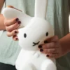 Mr maria lampe miffy & friends first l