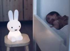 Mr maria lampe miffy & friends first l