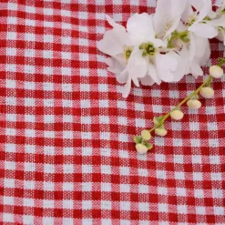 Nappe picnic vichy rouge 140x140cm