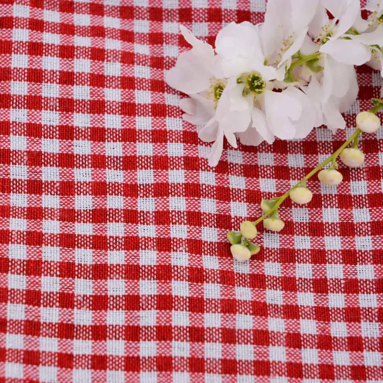 Nappe picnic vichy rouge 140x140cm