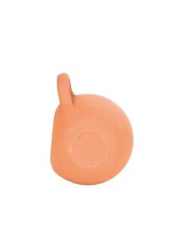 Nichoir bouteille pour moineaux et mésan
