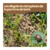 Nématodes sc - 500 m² - doryphore de la pomme de terre - 250m