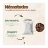 Nématodes sf - 10 arbres - carpocapses pomme poire noix - 25m