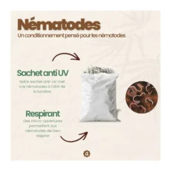 Nématodes sf - 5 fourmilières - fourmis - 5 millions