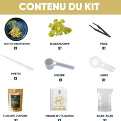 Nopalia® kit blob vivant – expérience scientifique complète – ton blob en 24h