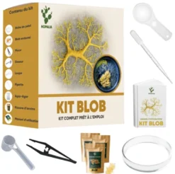 Nopalia® kit blob vivant – expérience scientifique complète – ton blob en 24h