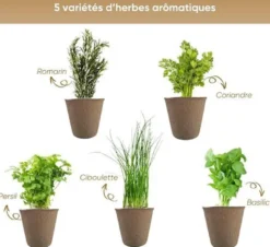 Nopalia® kit herbes aromatiques bio prêt à pousser - 5 variétés