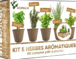 Nopalia® kit herbes aromatiques bio prêt à pousser - 5 variétés