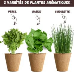 Nopalia® kit herbes aromatiques: basilic, persil, ciboulette, coriandre, romarin