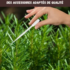 Nopalia® kit herbes aromatiques: basilic, persil, ciboulette, coriandre, romarin