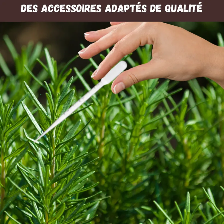 Nopalia® kit herbes aromatiques: basilic, persil, ciboulette, coriandre, romarin