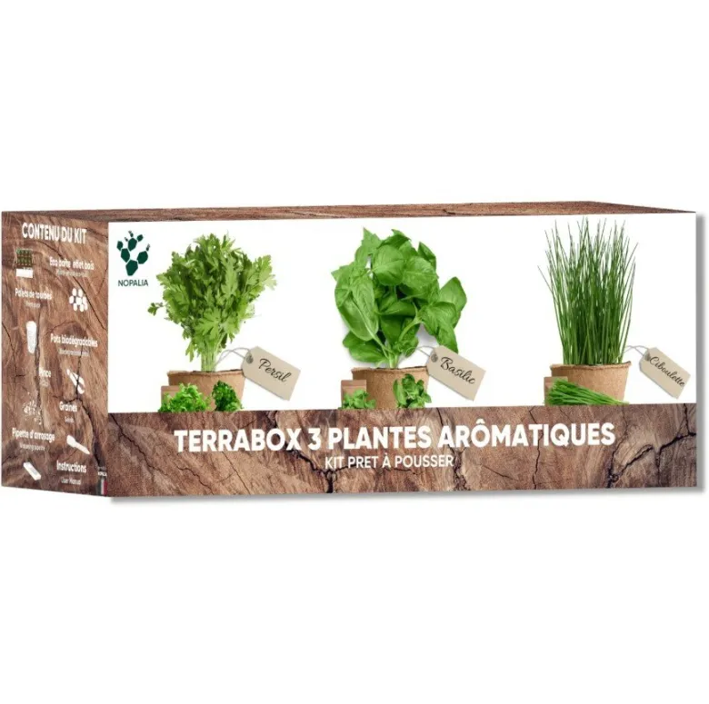 Nopalia® kit herbes aromatiques: basilic, persil, ciboulette, coriandre, romarin