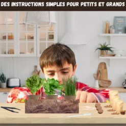 Nopalia® kit herbes aromatiques: basilic, persil, ciboulette, coriandre, romarin