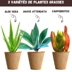 Nopalia® kit plantes grasses & aloe vera à faire pousser