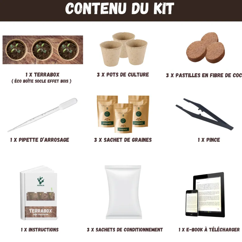 Nopalia® kit tomates cerises bio – mini potager intérieur - culture facile & diy