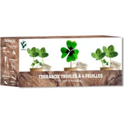 Nopalia® kit trèfle à 4 feuilles porte-bonheur