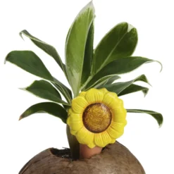 Olla d’arrosage en terre cuite fleurs
