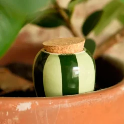 Olla en céramique Pépin Vert et lilas