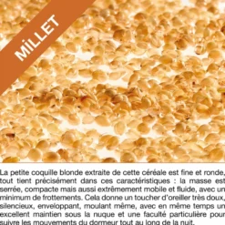 Oreiller en balles de millet - 60 x 60 c