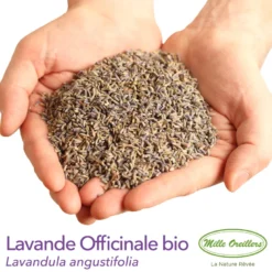 Oreiller à la lavande bio - 50 x 70 cm