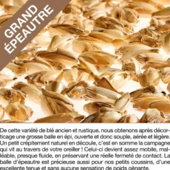 Oreiller millepertuis et epeautre biolog