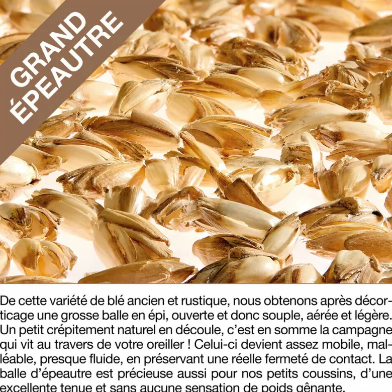 Oreiller millepertuis et epeautre biolog