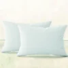 2 oreillers garnissage - 30 x 50 cm