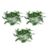 Pack de 3 pots muraux grises